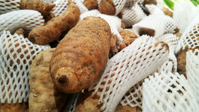 天麻子种植技术