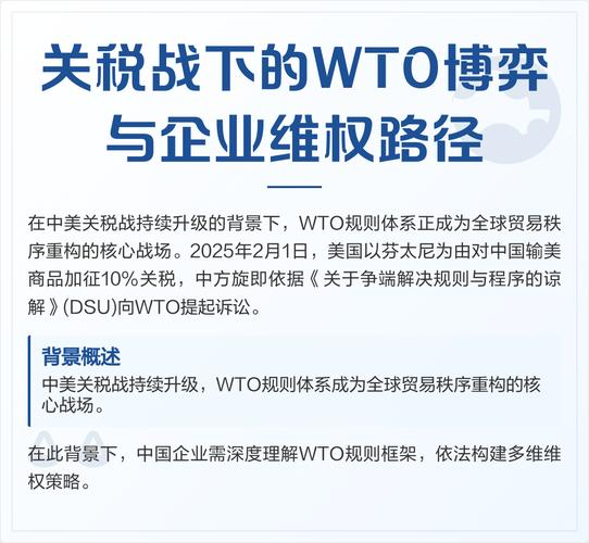 中美知识产权运营