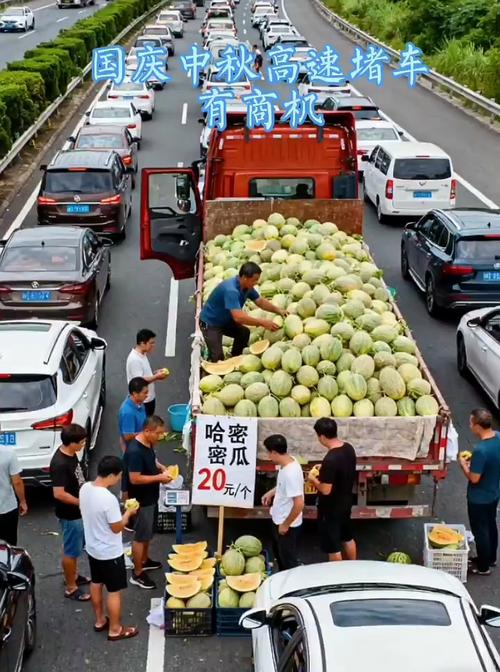 露地西瓜种植技术视频