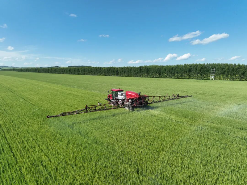 春小麦种植技术与管理