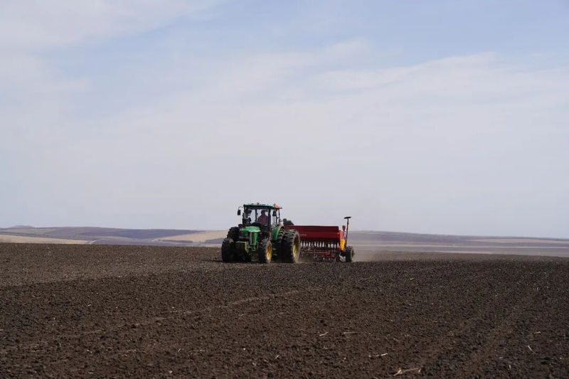 春小麦种植技术与管理