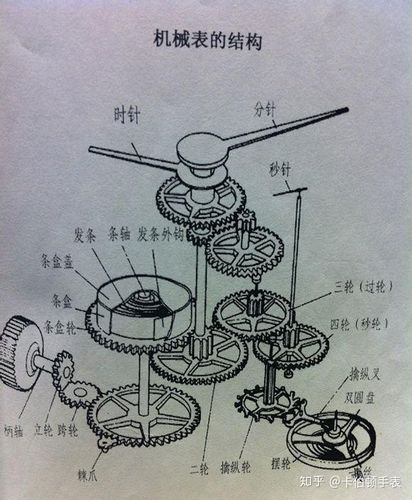 Watch, hair, principles