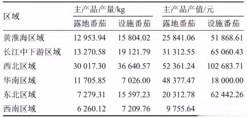 温室番茄种植技术