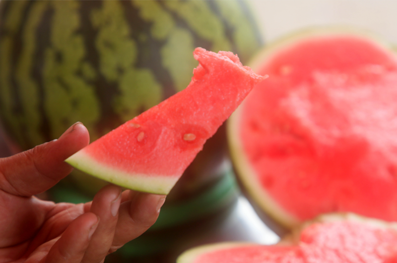 Video of the techniques used to plant watermelon in the country