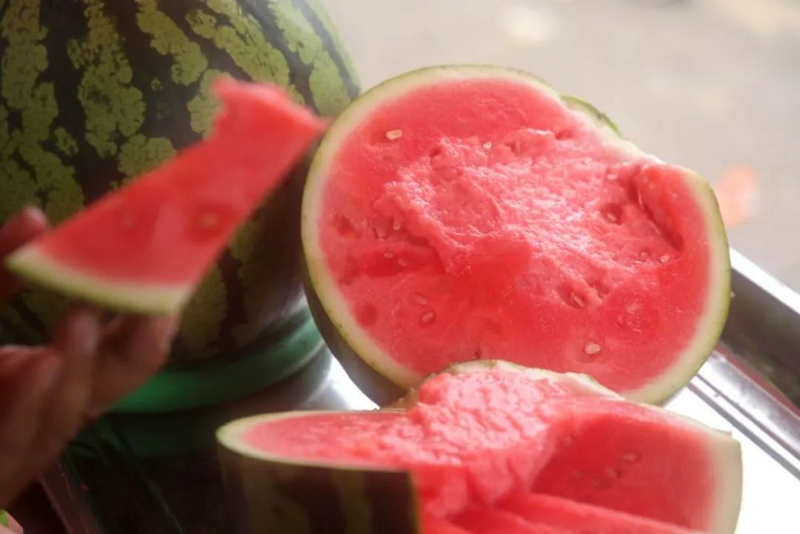 Video of the techniques used to plant watermelon in the country