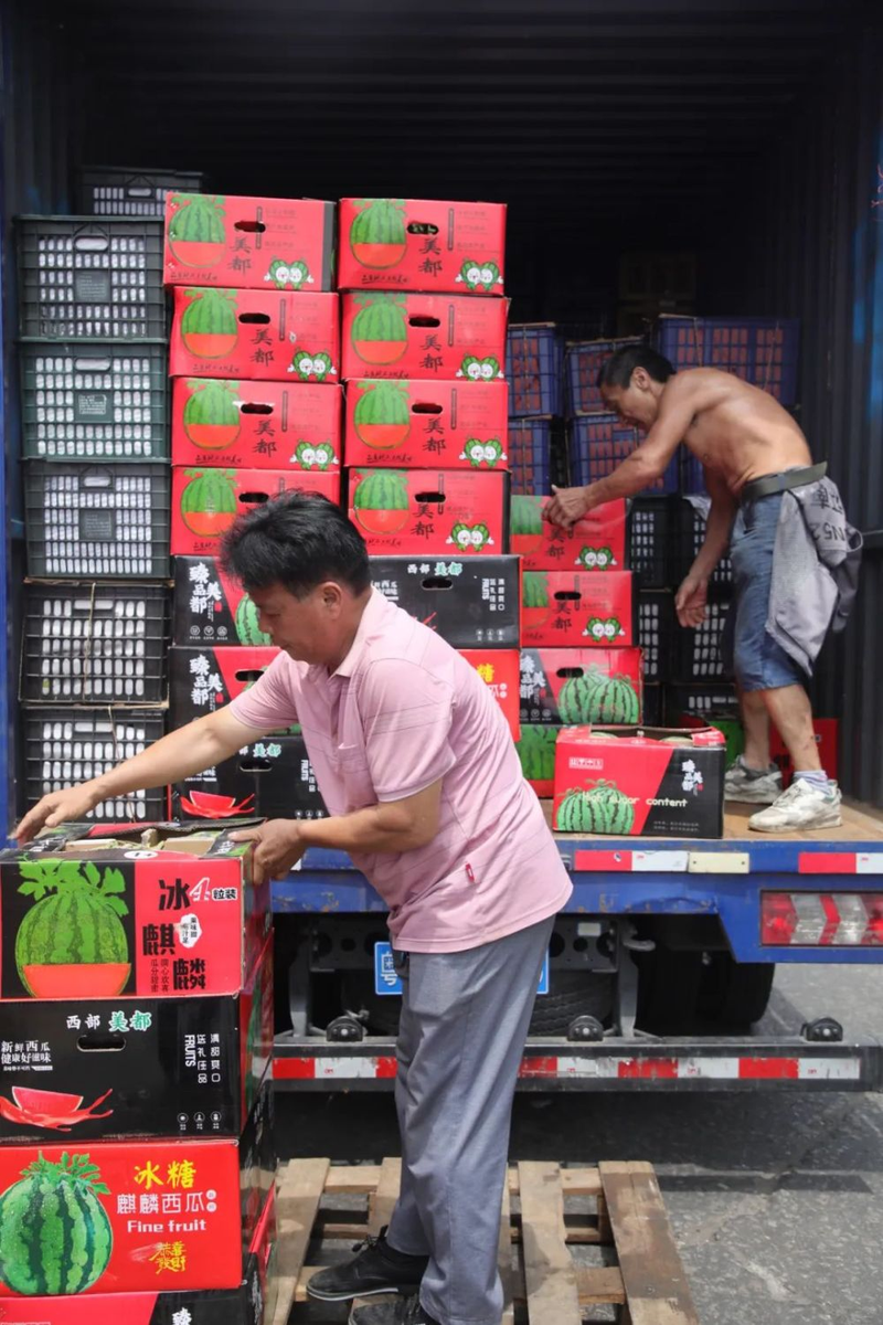 Video of the techniques used to plant watermelon in the country