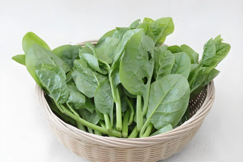 木耳的种植方法及季节