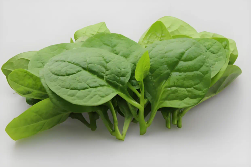 木耳的种植方法及季节