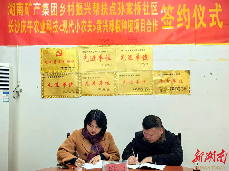 辣椒种植技术与管理