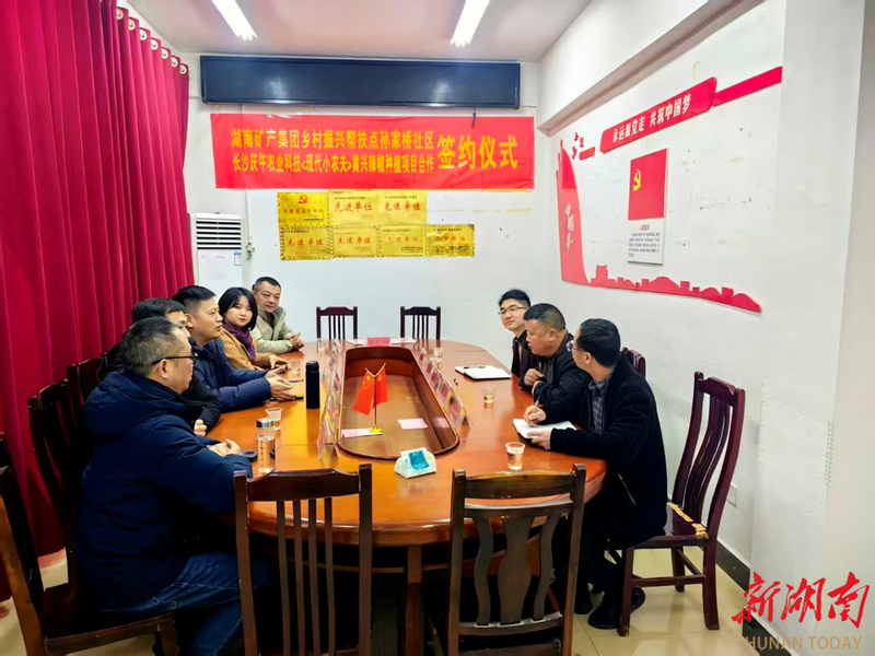 辣椒种植技术与管理