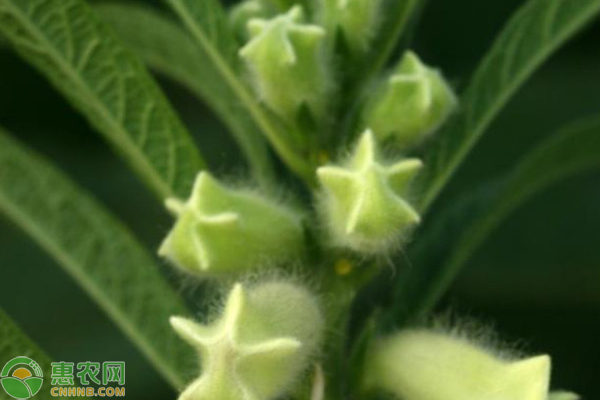 Smart farming techniques