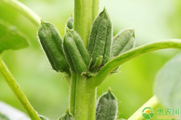 Smart farming techniques