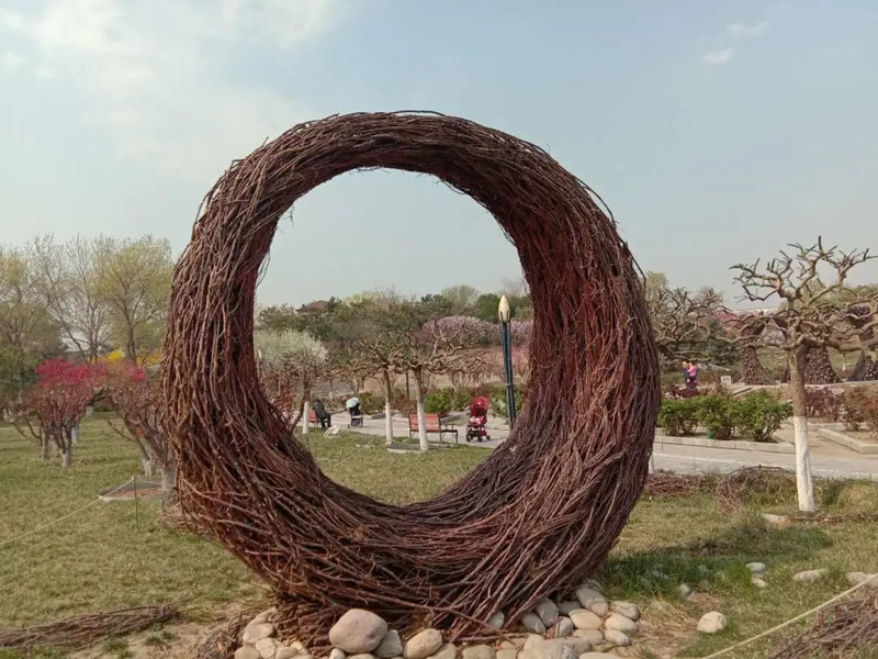 鲁冰花种子种植方法