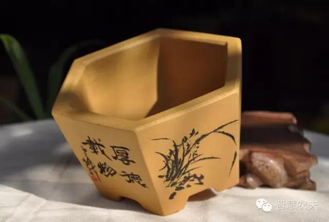 How do you grow strawberries on the balcony