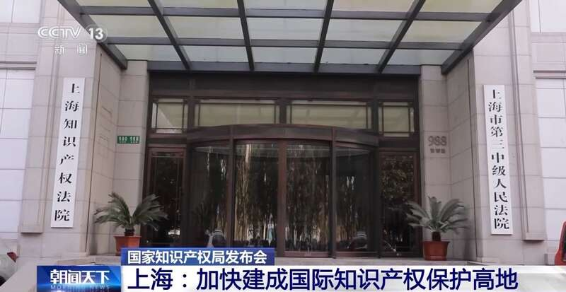 上海知识产权服务