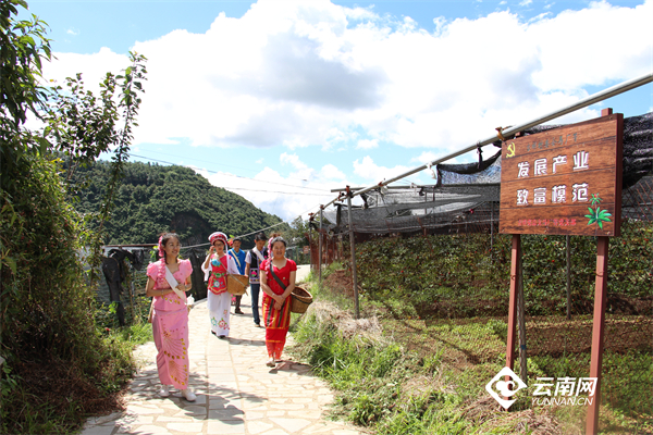 重楼的种植方法