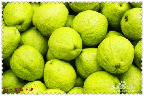 The price of a fat diet