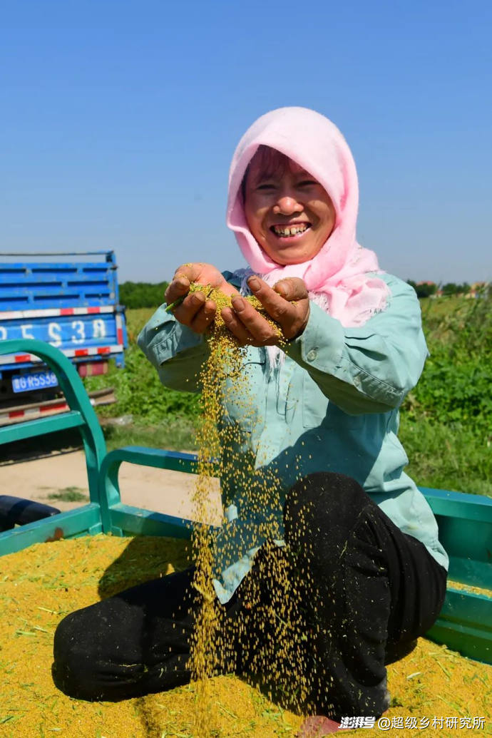 番茄树种植技术视频