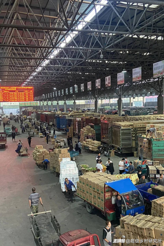 番茄树种植技术视频