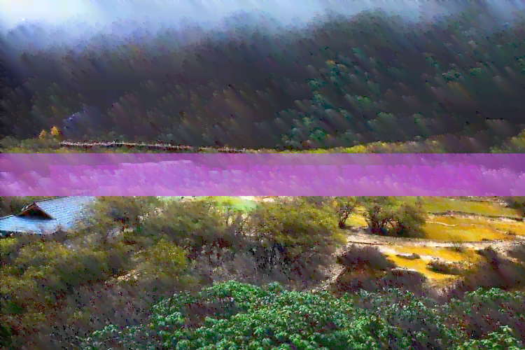 西双版纳3日旅游费用