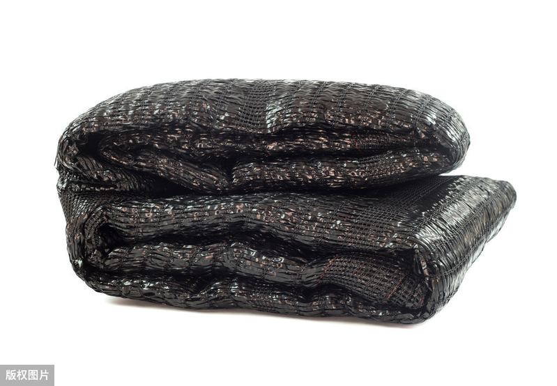 阳台草莓怎么种植方法