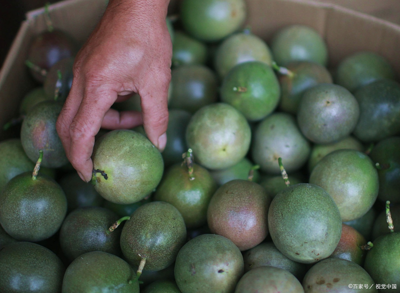 百香果种植方法