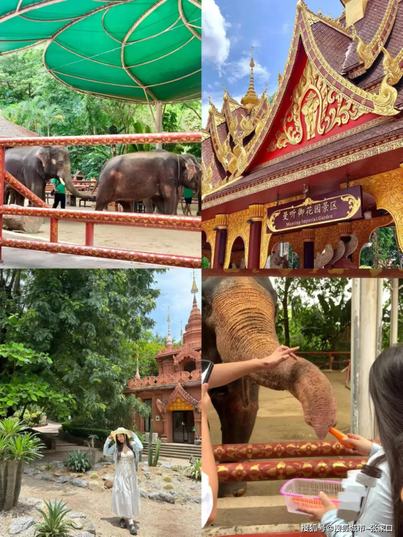 西双版纳3日旅游费用