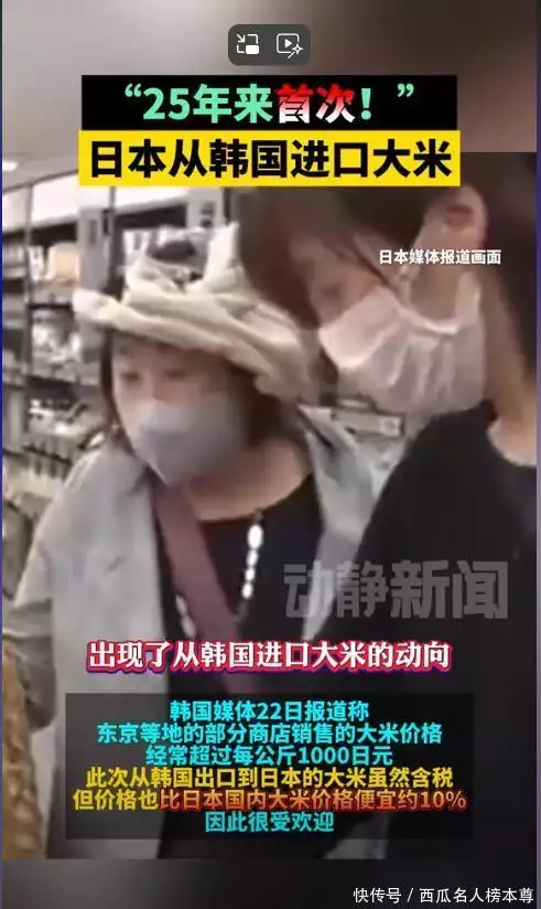 2026国际大米价格暴涨原因