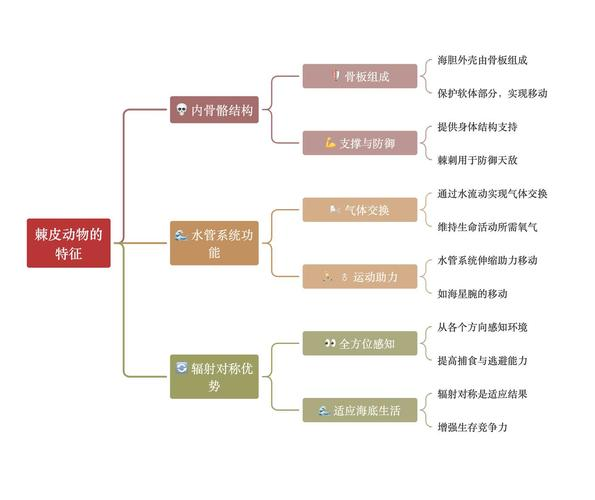 动物分类基本知识.ppt