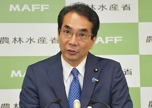 2026国际大米价格暴涨原因