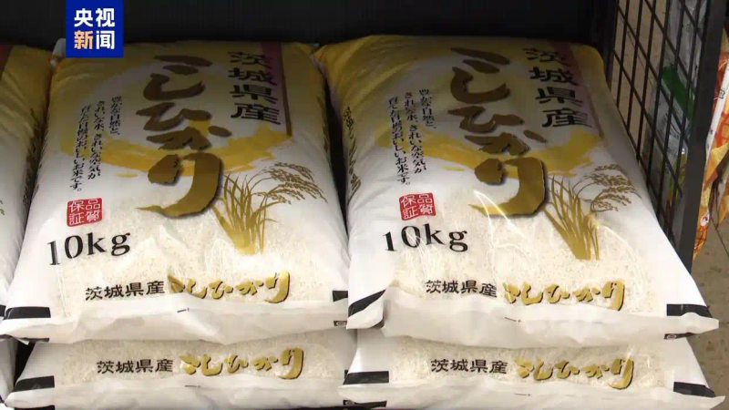 2026国际大米价格暴涨原因