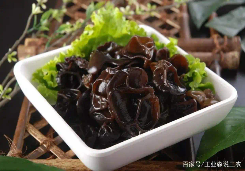 东北黑木耳种植技术