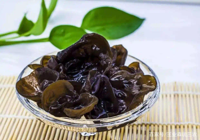 东北黑木耳种植技术