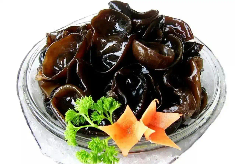 东北黑木耳种植技术