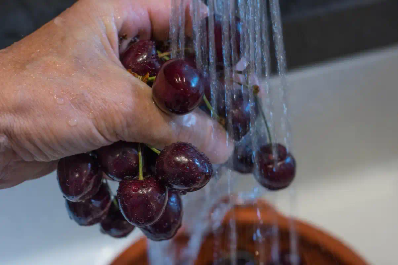 葡萄酒的酿制方法作文