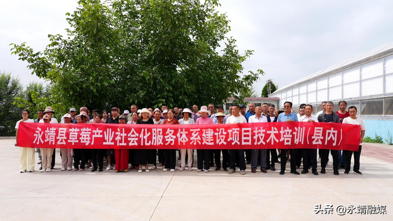 Training programme in fruit tree cultivation techniques