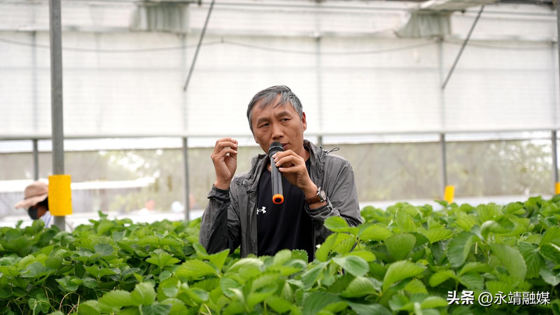 Training programme in fruit tree cultivation techniques
