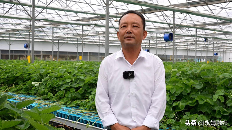 Training programme in fruit tree cultivation techniques