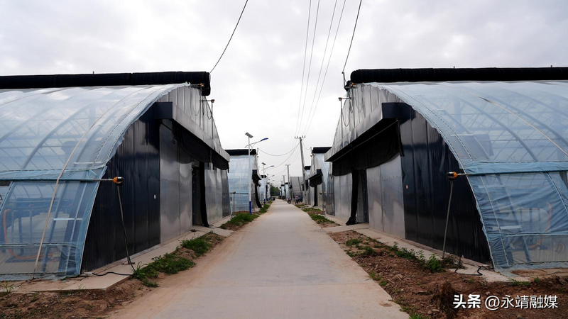 Training programme in fruit tree cultivation techniques