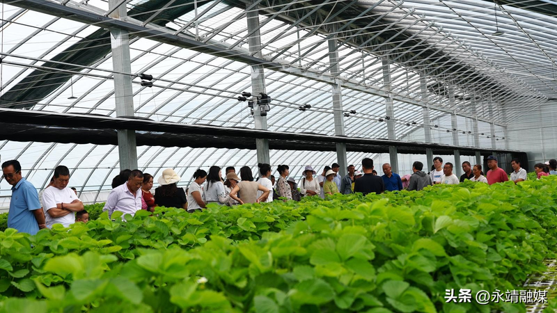 Training programme in fruit tree cultivation techniques
