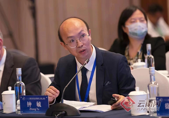 芸豆种子种植方法