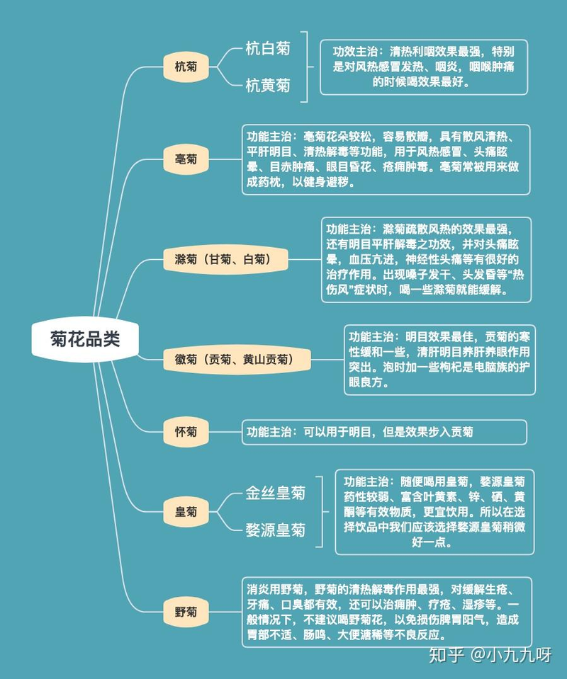 菊花茶种植方法和时间