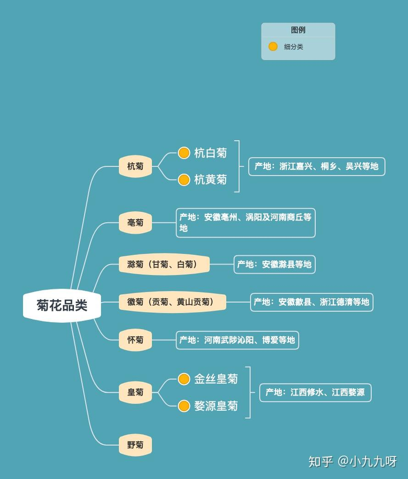 菊花茶种植方法和时间