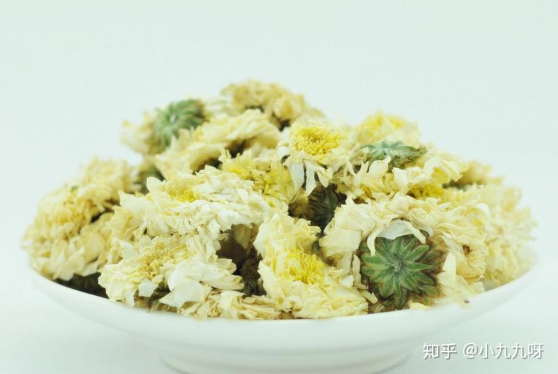 菊花茶种植方法和时间