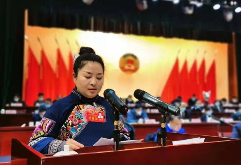 紫玉淮山种植技术