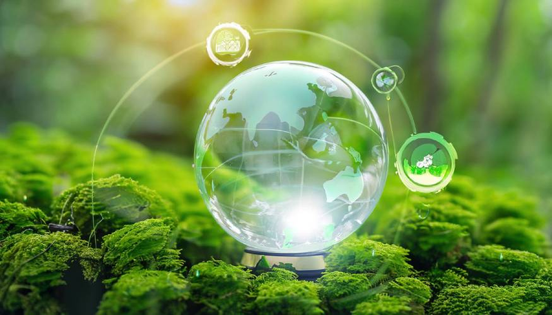 政府监管理论与政策