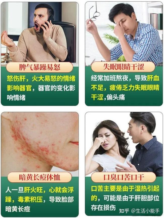 菊花茶种植方法和时间