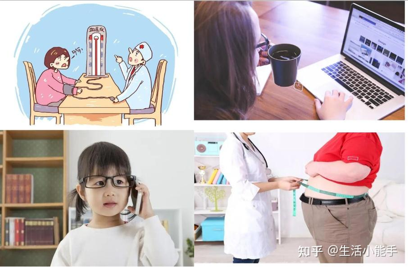 菊花茶种植方法和时间