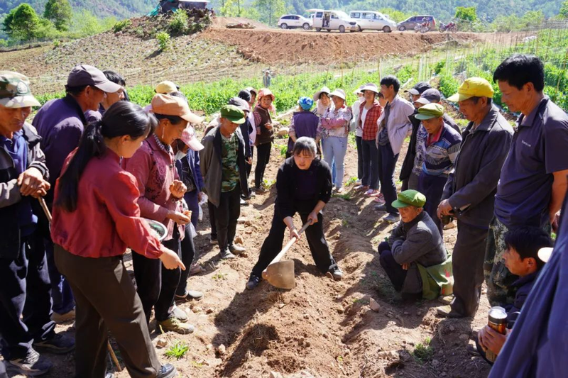 Seed cultivation methods