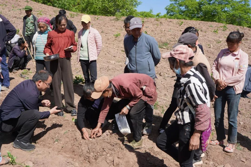 Seed cultivation methods